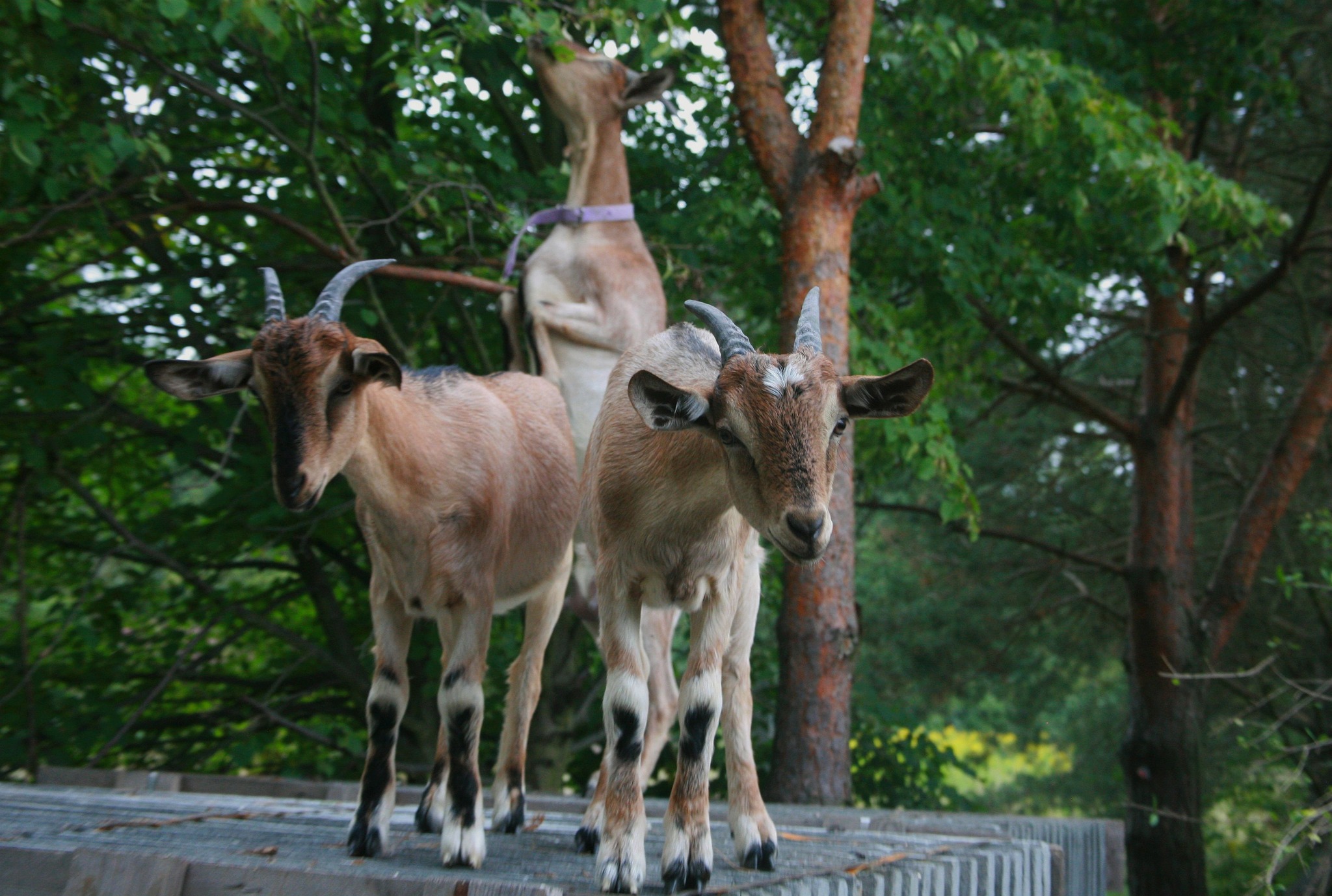 484804958_2695456933983001_242623988650215849_n