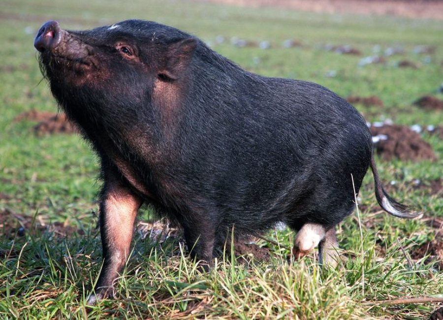 481958010_643549458376075_2748275291734925589_n