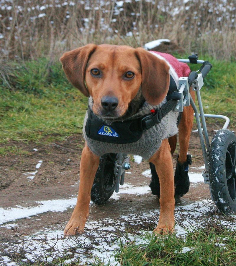 481993180_645003074897380_3274547740476864082_n