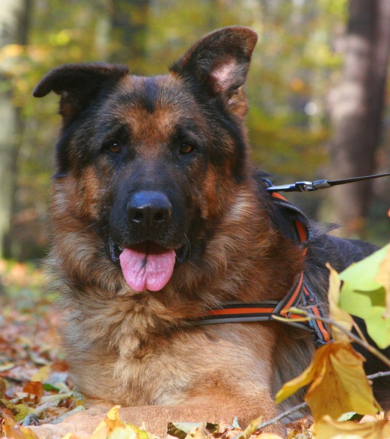 484528200_2695457020649659_4430152809768580736_n